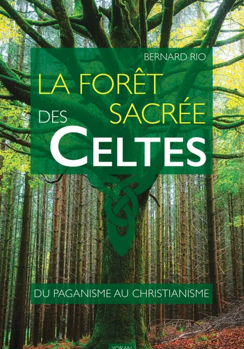 La forêt sacrée des Celtes