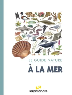 À la mer