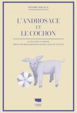 L'Androsace et le cochon