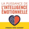 La puissance de l'intelligence émotionnelle - Devenez un leader authentique dans votre vie professionnelle