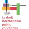 Le droit international public en schémas