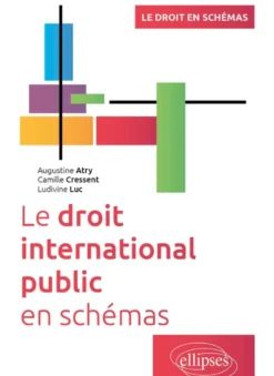 Le droit international public en schémas