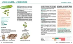 Le guide Terre vivante du potager bio