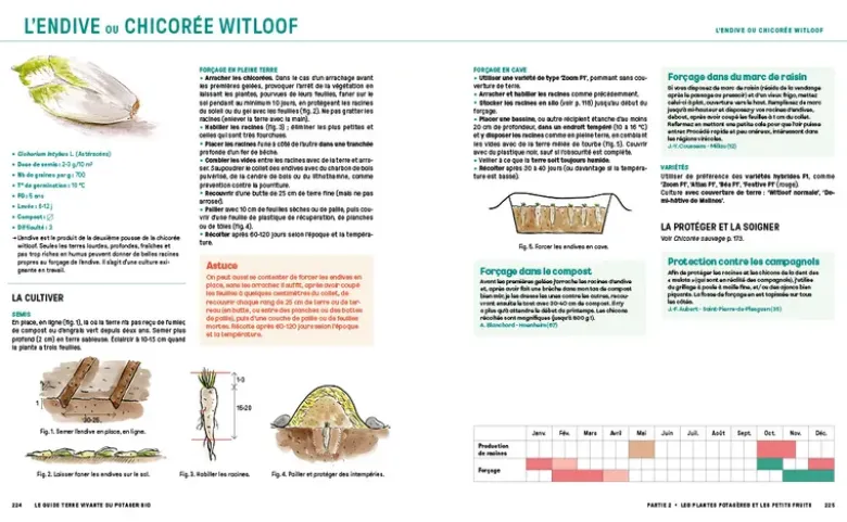 Le guide Terre vivante du potager bio