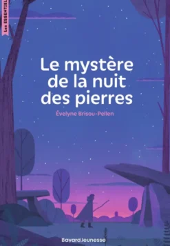Le mystère de la nuit des pierres