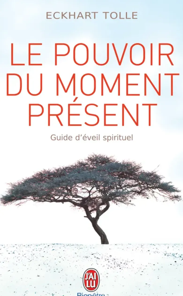 Le pouvoir du moment présent
