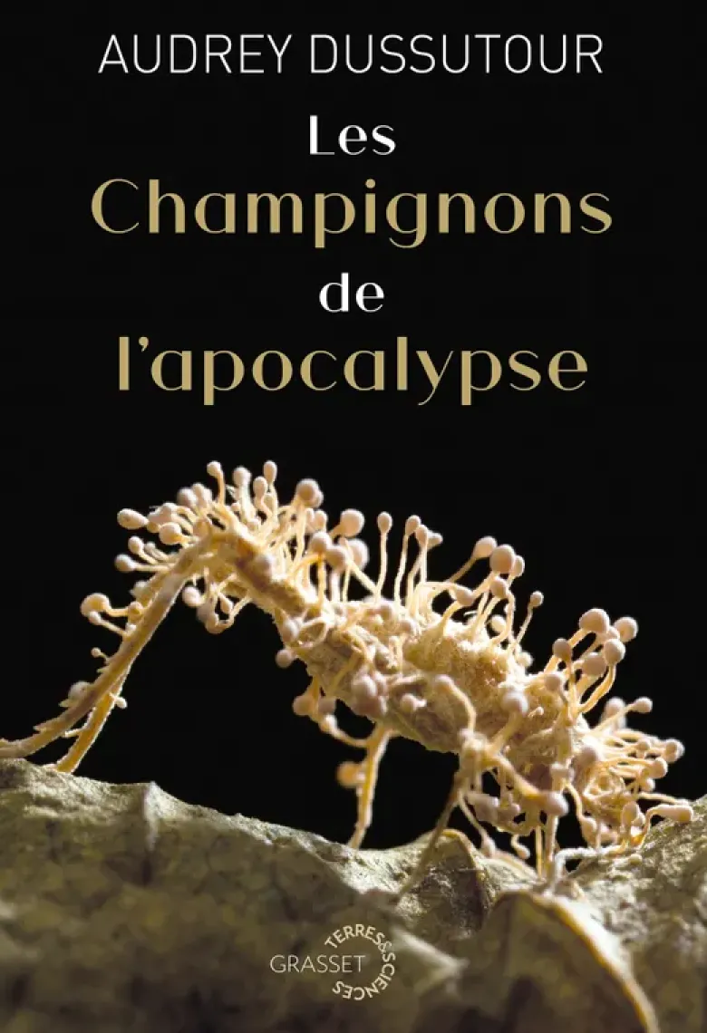 Les champignons de l'apocalypse