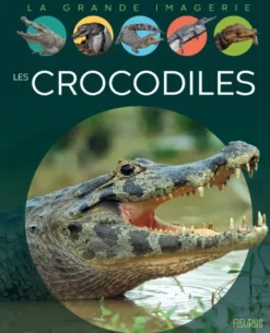 Les crocodiles
