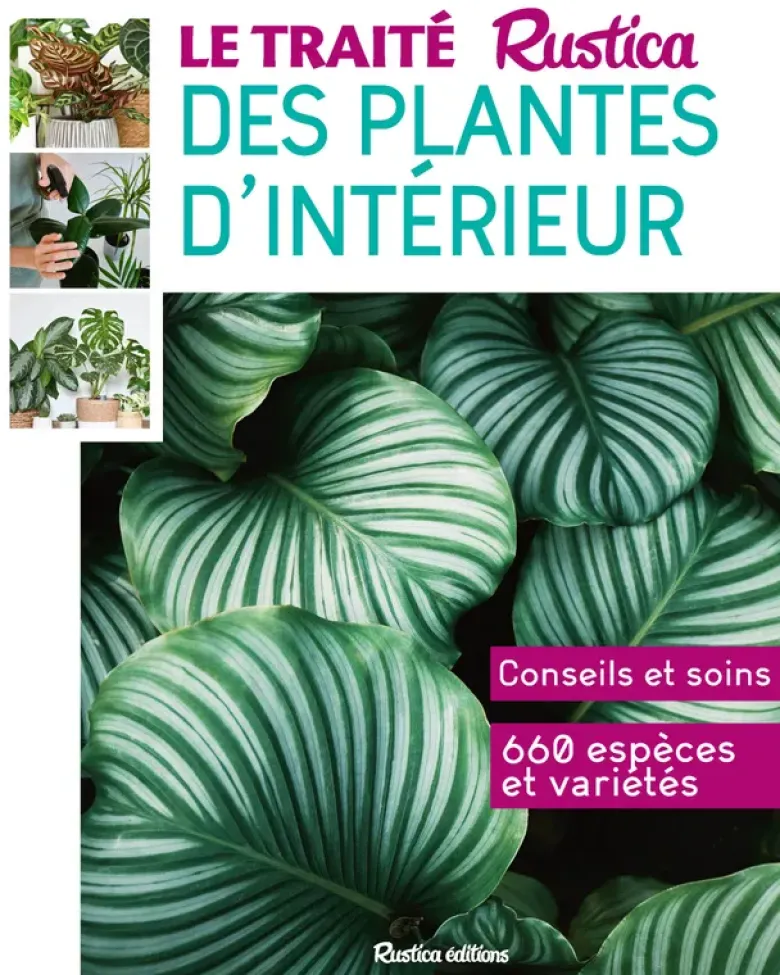 Le Traité Rustica des plantes d'intérieur