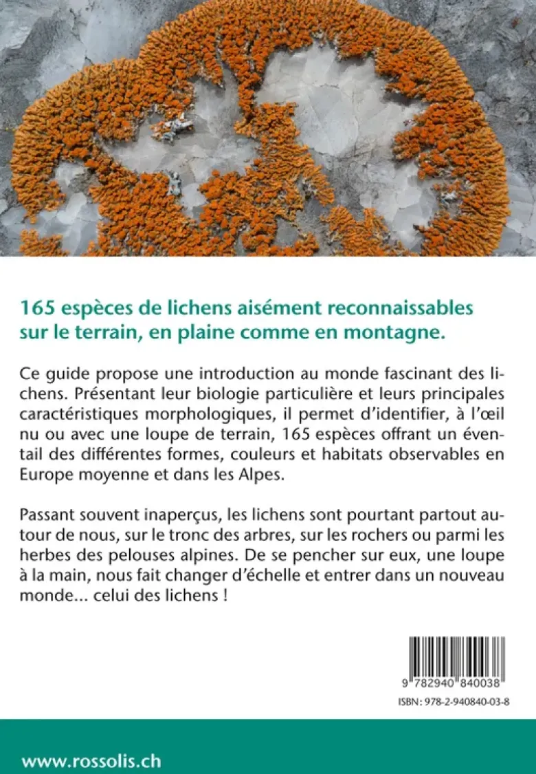 Lichens, Une introduction