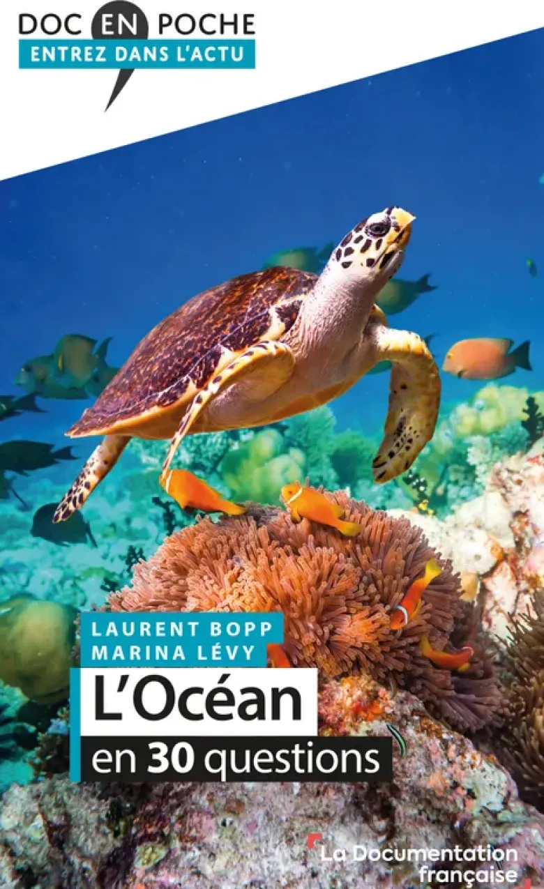 L'océan en 30 questions
