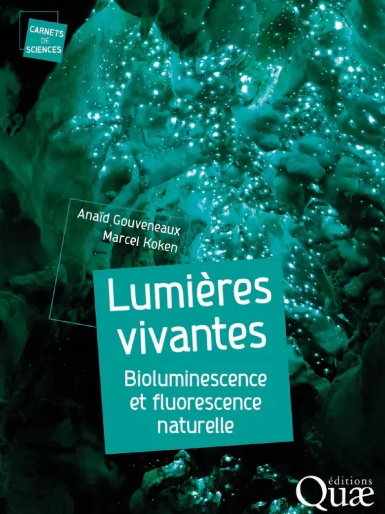 Lumières vivantes