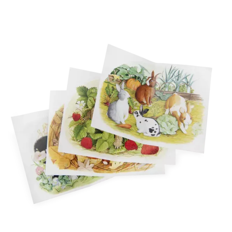 4 mini puzzles des animaux (4x12 pièces)