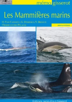Mémo - Les mammifères marins