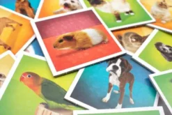 Mémo Pets