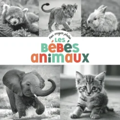 Mon imagier photos - Les bébés animaux