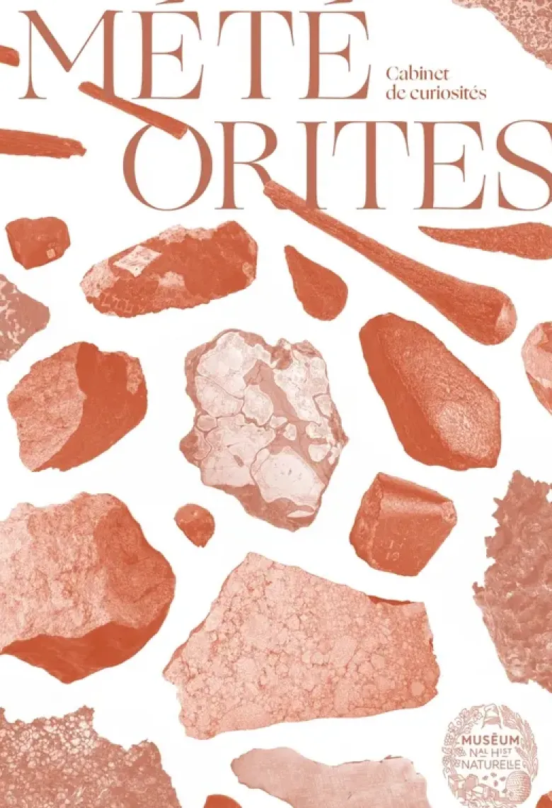 Météorites - Trésors cosmiques