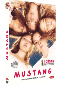 Mustang