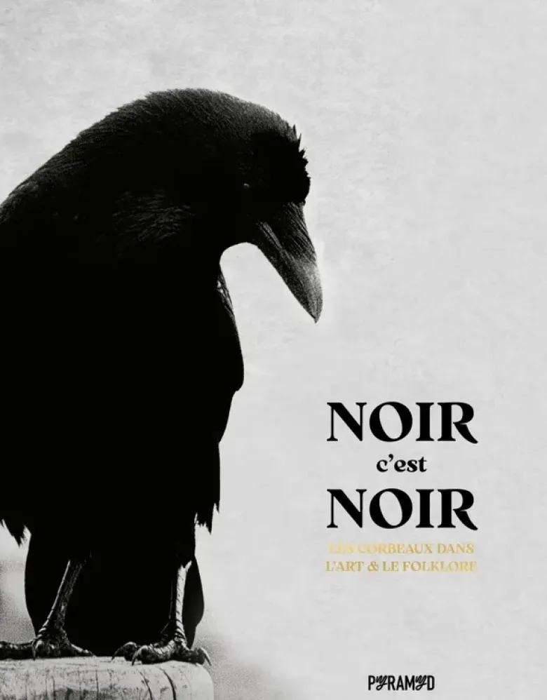 Noir c'est noir