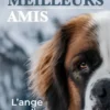 Nos meilleurs amis