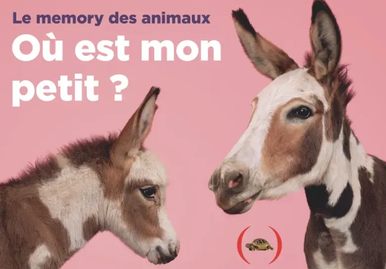Où est mon petit ?