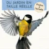 Oiseaux du jardin en taille réelle