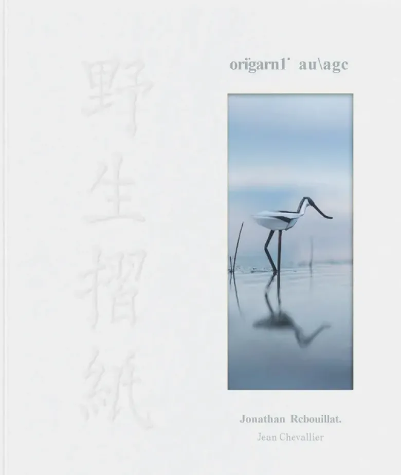 Origami sauvage