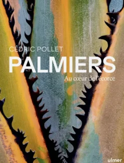 Palmiers - Au coeur de l'écorce