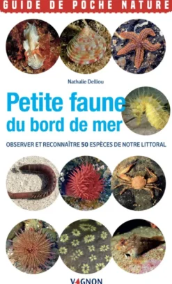 Petite faune du bord de mer