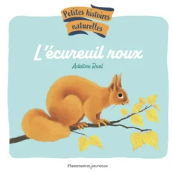 Petites histoires naturelles - L'écureuil roux
