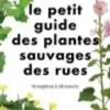 Petit guide des herbes sauvages des villes
