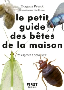 Petit guide d'observation des petites bêtes de la maison