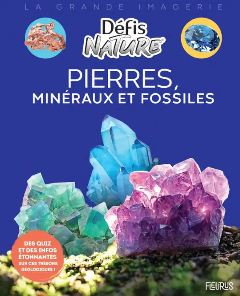 Pierres, minéraux et fossiles