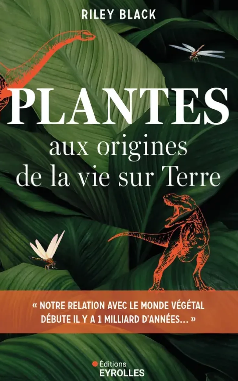Plantes