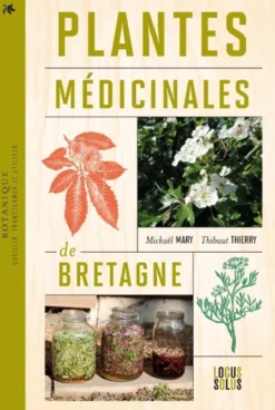 Plantes médicinales de Bretagne