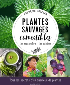 Plantes sauvages comestibles