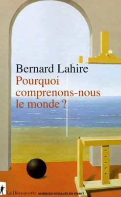 Pourquoi comprenons-nous le monde ?