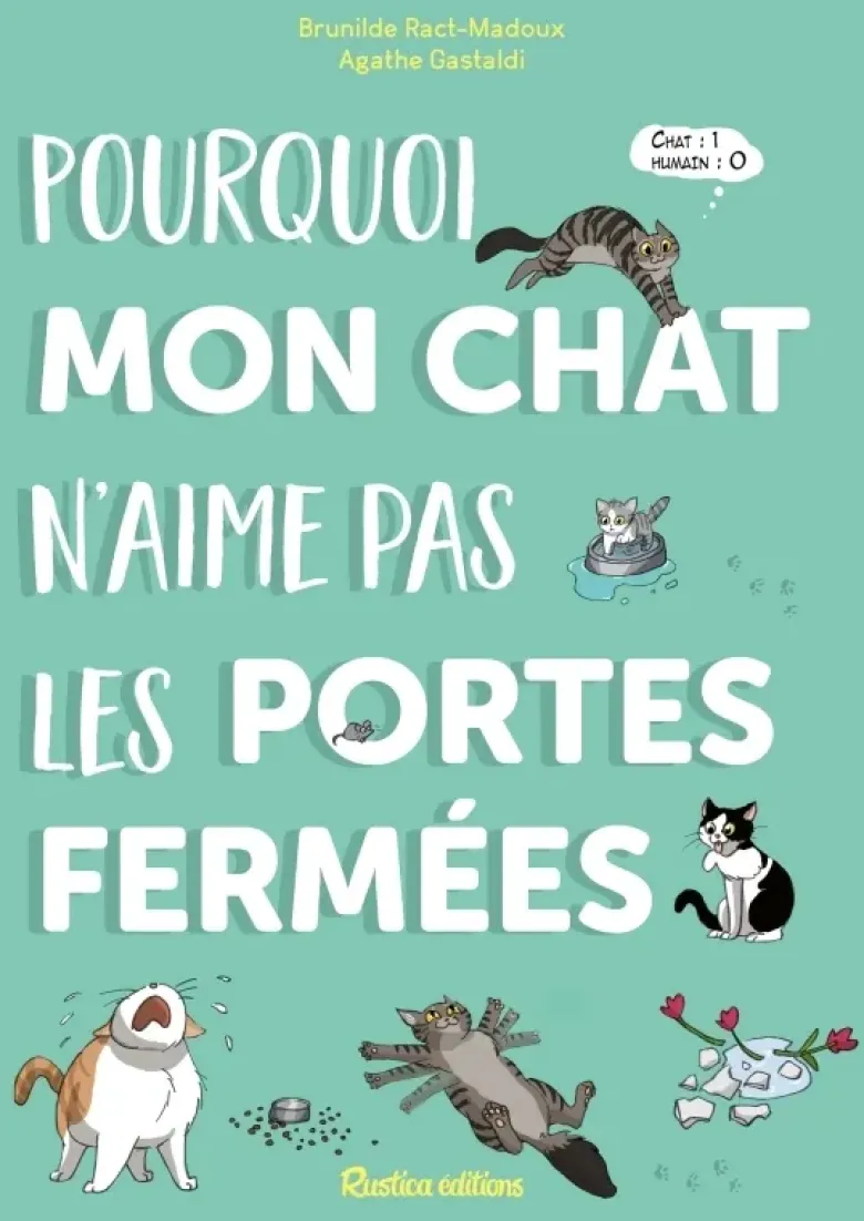Pourquoi mon chat n'aime pas les portes fermées