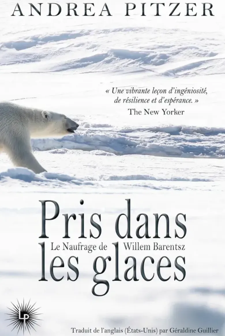 Pris dans les glaces
