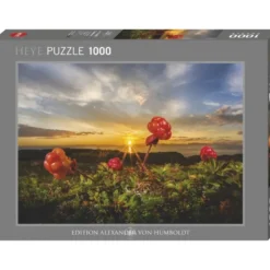 Puzzle 1000 pcs - Baies et coucher de soleil