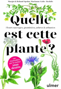 Quelle est cette plante ?