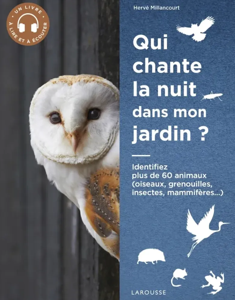 Qui chante la nuit dans mon jardin ?