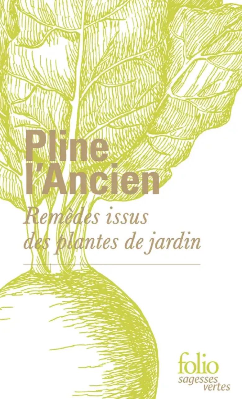 Remèdes issus des plantes de jardin