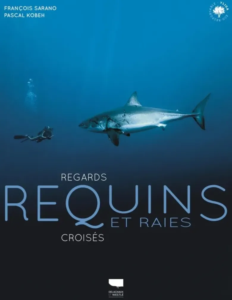 Requins et raies
