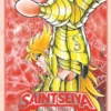Saint Seiya Final Edition - Tome 8