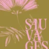 Sauvages