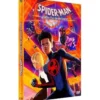 Spider-Man : Across the Spider-Verse - DVD (2023)