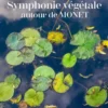Symphonie végétale autour de Monet
