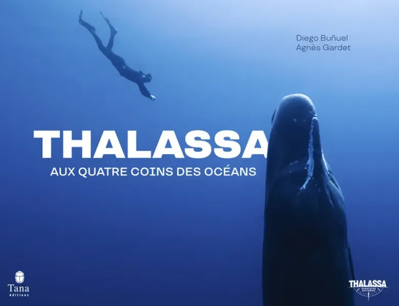Thalassa - Aux quatre coins des océans