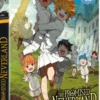 The Promised Neverland - Saison 1 - DVD